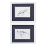 Pinto Sea Turtle Framed Art Set of 2