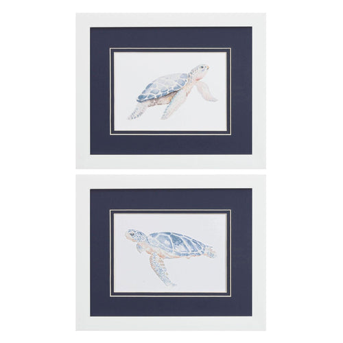 Pinto Sea Turtle Framed Art Set of 2