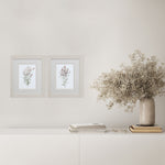 Swatland Dainty Botanical Framed Art Set of 2