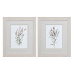 Swatland Dainty Botanical Framed Art Set of 2