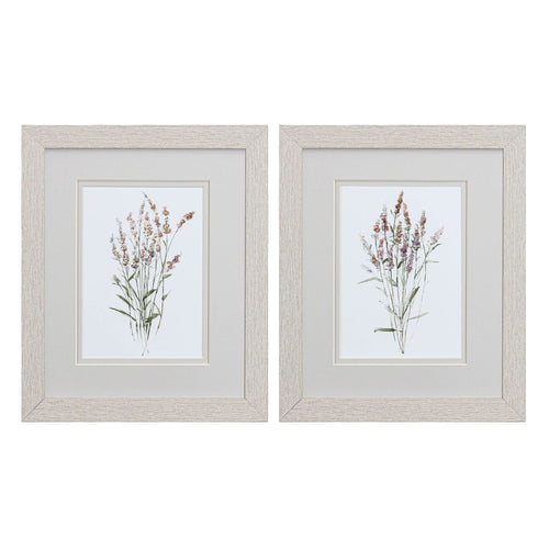 Swatland Dainty Botanical Framed Art Set of 2