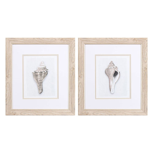 Robinson Sea Front Shell Framed Art Set of 2