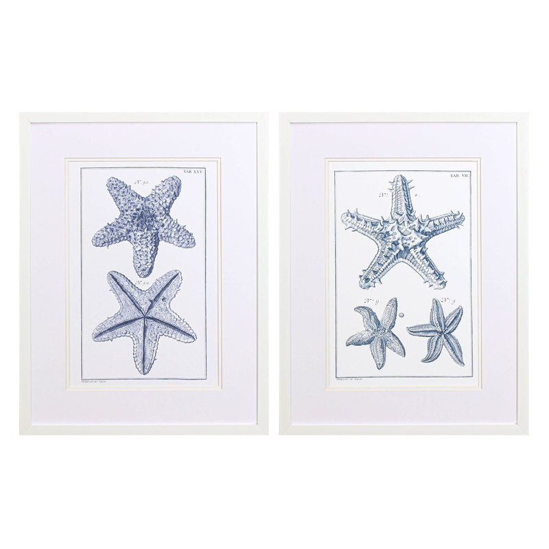 Vision Studio Blue Sea Stars B Framed Art Set of 2