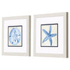 Price Coastal Watercolor A Framed Art Set of 2