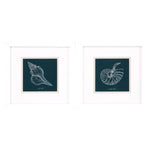 Popp Shell Study on Teal A Framed Art Set of 2