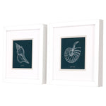 Popp Shell Study on Teal A Framed Art Set of 2