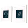 Popp Shell Study on Teal B Framed Art Set of 2