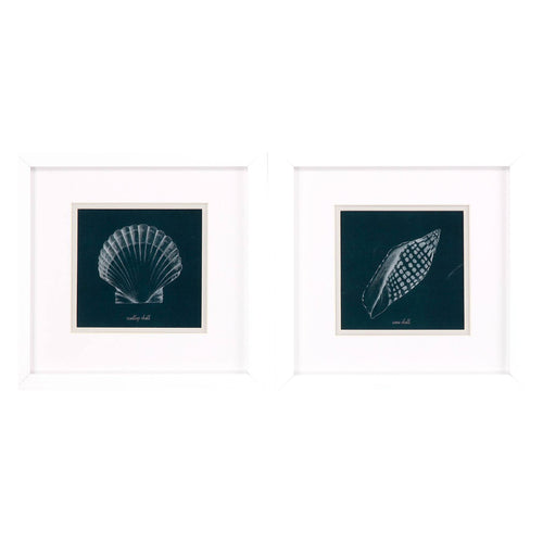 Popp Shell Study on Teal B Framed Art Set of 2