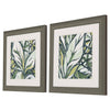 Vess Fauvist Tropical A Framed Art Set of 2