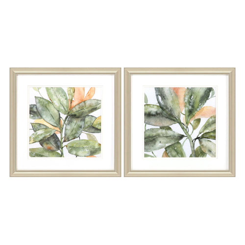 Robinson Plant Life Framed Art Set of 2