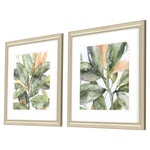 Robinson Plant Life Framed Art Set of 2