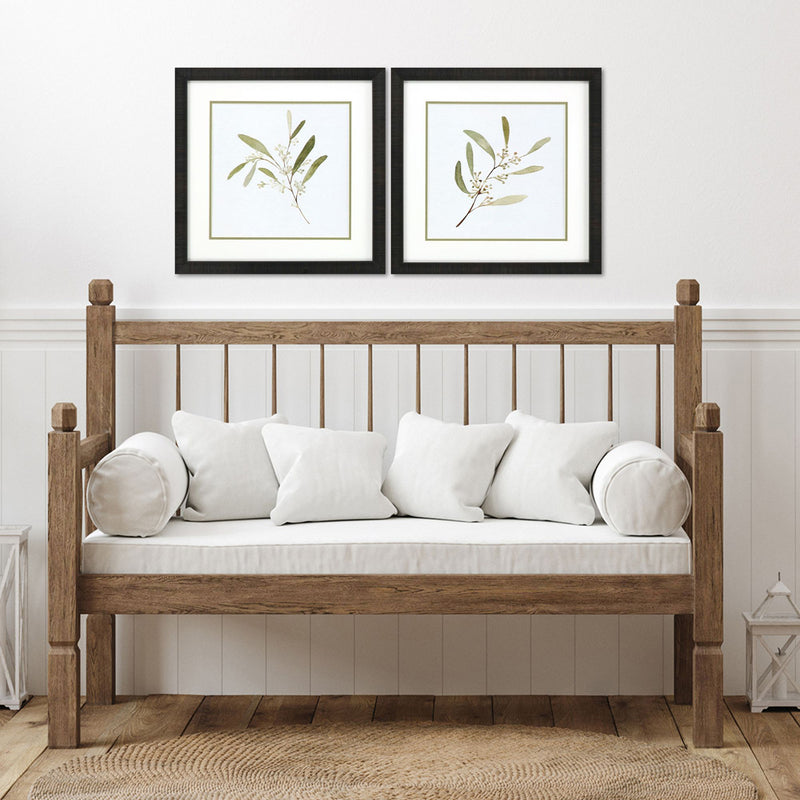 Caroline Eucalyptus Collection Framed Art Set of 2