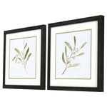 Caroline Eucalyptus Collection Framed Art Set of 2