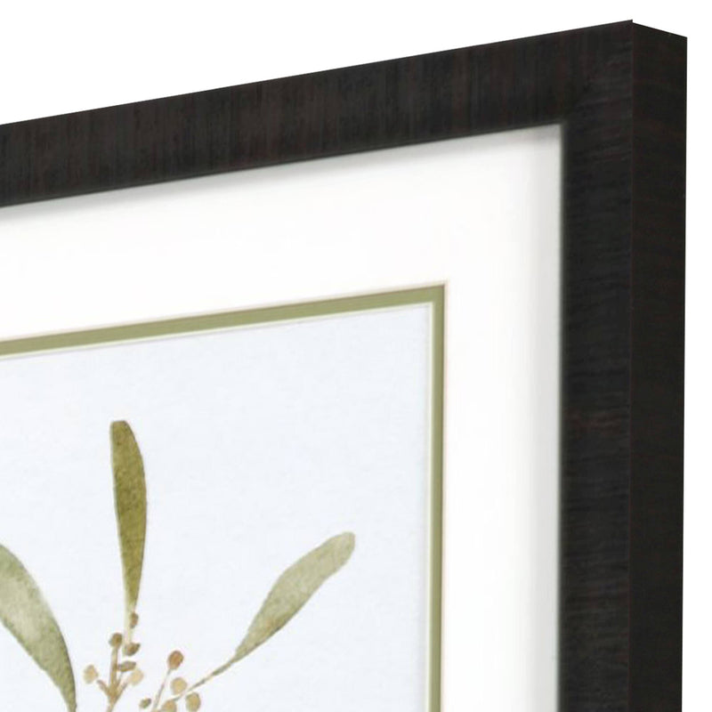 Caroline Eucalyptus Collection Framed Art Set of 2