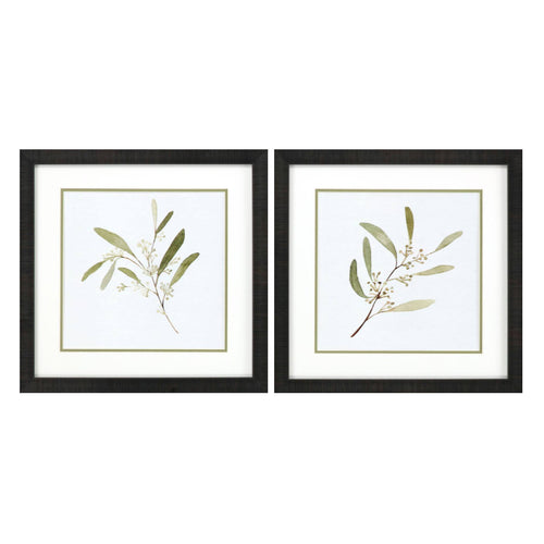 Caroline Eucalyptus Collection Framed Art Set of 2