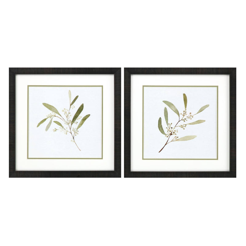 Caroline Eucalyptus Collection Framed Art Set of 2