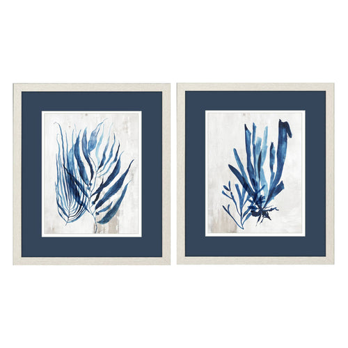 Wilson Coral Plant Framed Art Set of 2