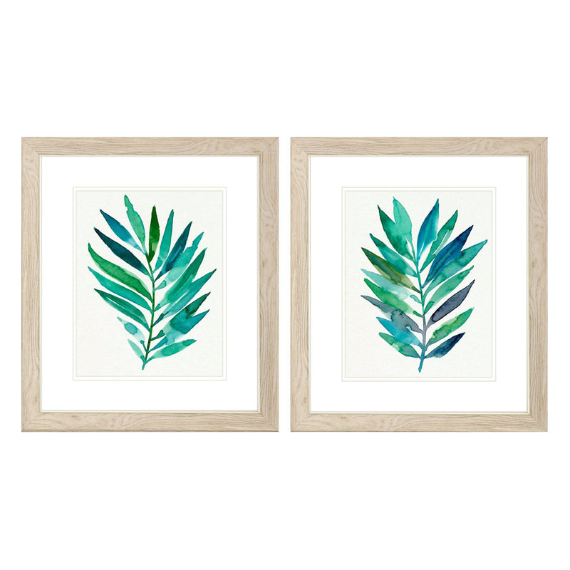 Warren Palm Frond Flow A Framed Art Set of 2