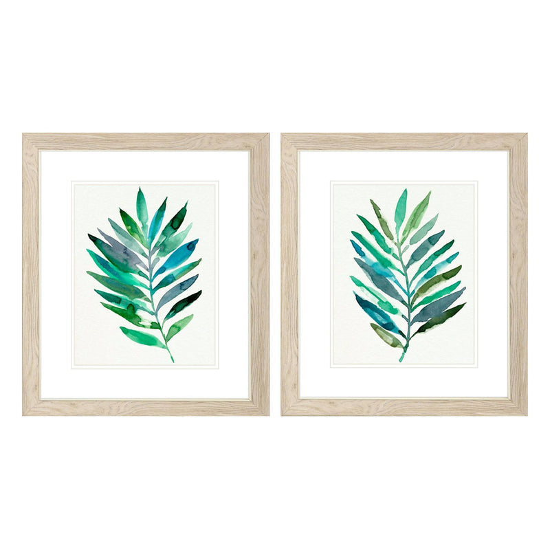 Warren Palm Frond Flow B Framed Art Set of 2