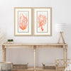 Medley Seaweed Coral Framed Art Set of 2