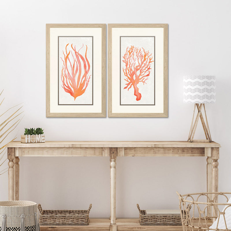 Medley Seaweed Coral Framed Art Set of 2