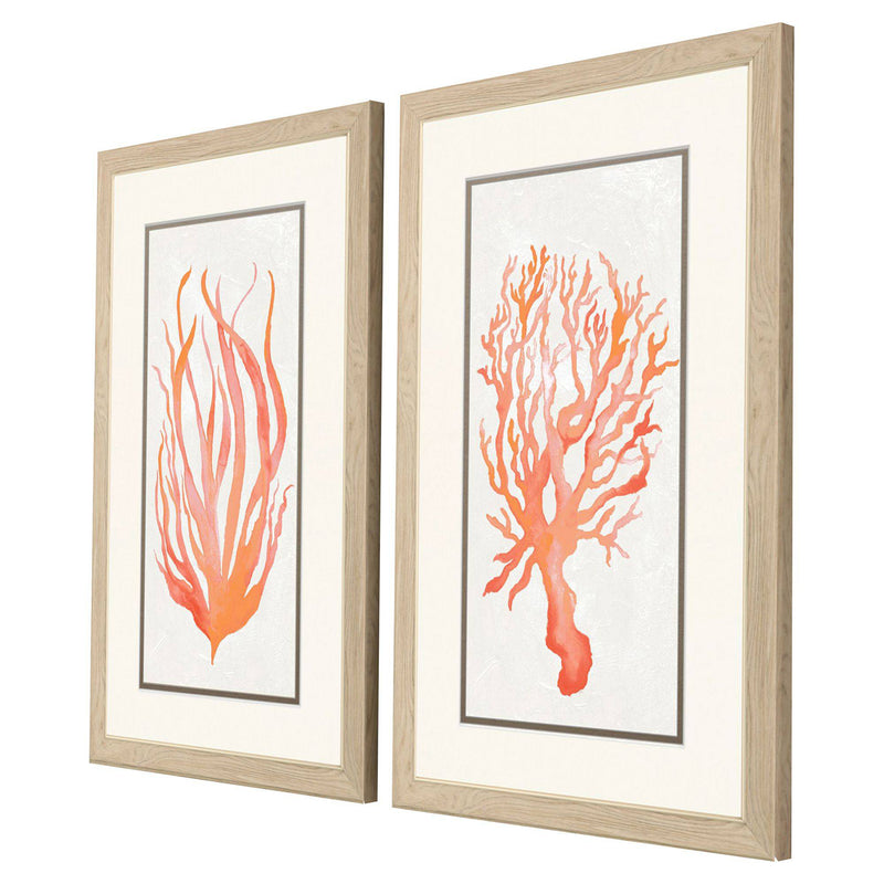 Medley Seaweed Coral Framed Art Set of 2