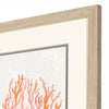 Medley Seaweed Coral Framed Art Set of 2