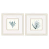 Gaynor Ocean Flora Framed Art Set of 2