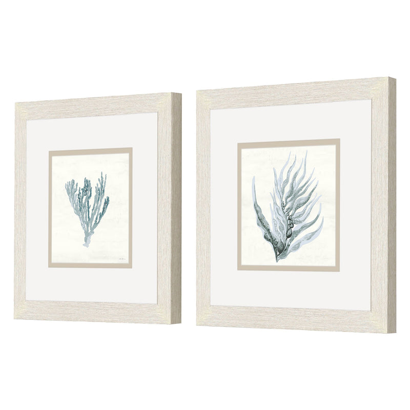 Gaynor Ocean Flora Framed Art Set of 2