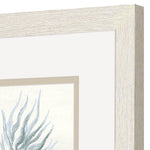 Gaynor Ocean Flora Framed Art Set of 2