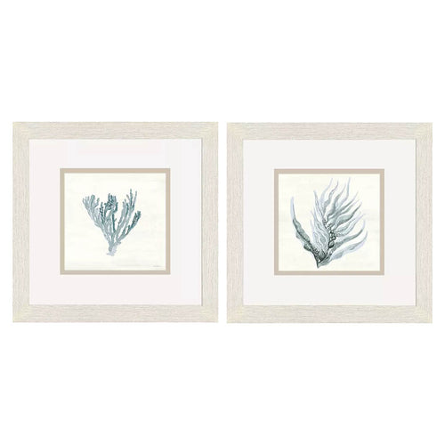 Gaynor Ocean Flora Framed Art Set of 2