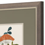 Nicoll Amanita Mushroom Framed Art Set of 2