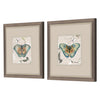 Jill Papillon Framed Art Set of 2