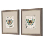 Jill Papillon Framed Art Set of 2