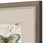 Jill Papillon Framed Art Set of 2