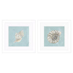 Derice Seashell A Framed Art Set of 2