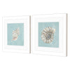 Derice Seashell A Framed Art Set of 2