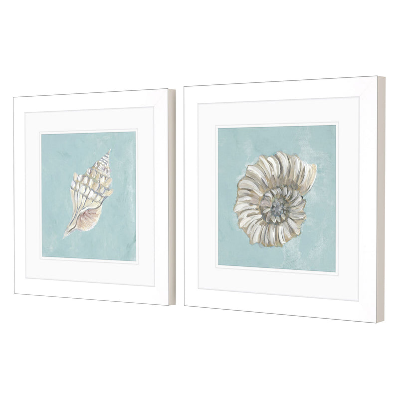 Derice Seashell A Framed Art Set of 2