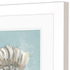 Derice Seashell A Framed Art Set of 2