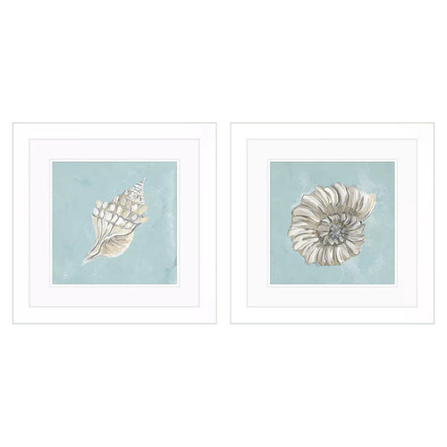 Derice Seashell A Framed Art Set of 2