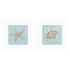 Derice Seashell B Framed Art Set of 2