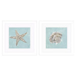 Derice Seashell B Framed Art Set of 2