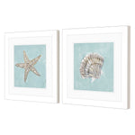 Derice Seashell B Framed Art Set of 2