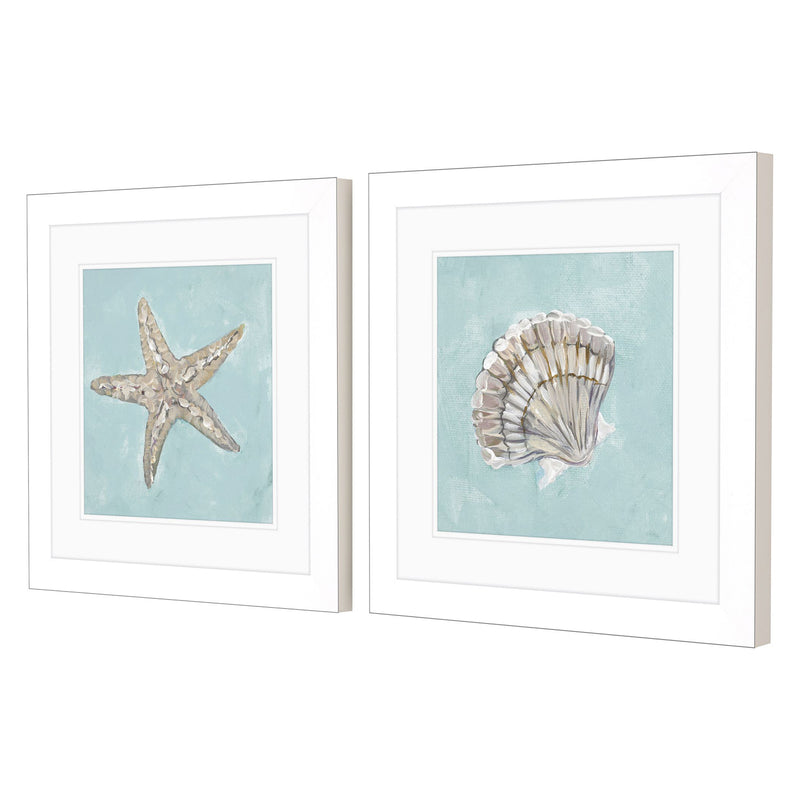 Derice Seashell B Framed Art Set of 2