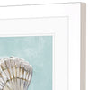 Derice Seashell B Framed Art Set of 2