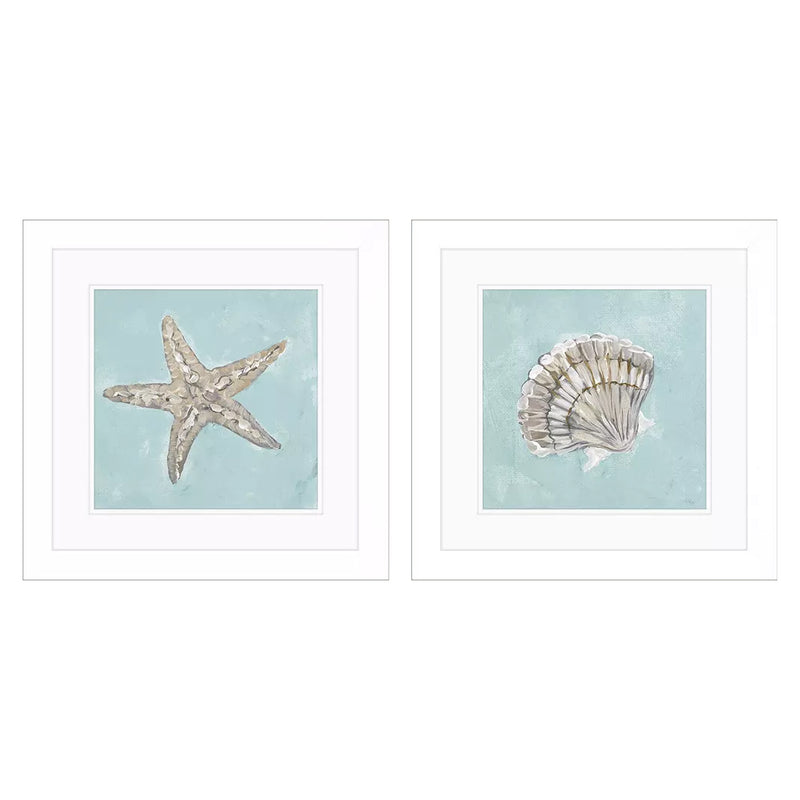 Derice Seashell B Framed Art Set of 2