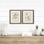 Jill Vintage Garden Framed Art Set of 2