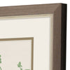 Jill Vintage Garden Framed Art Set of 2