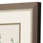 Jill Vintage Garden Framed Art Set of 2