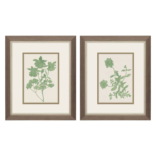 Jill Vintage Garden Framed Art Set of 2